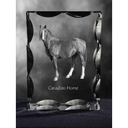 Canadian horse, cristal avec un chien, souvenir, décoration, édition limitée, ArtDog