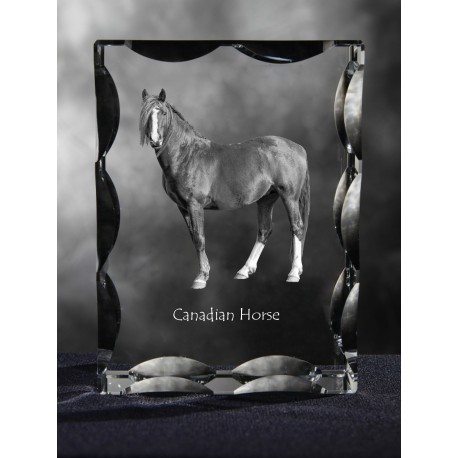 Canadian horse, de cristal con el caballo, recuerdo, decoración, edición limitada, ArtDog