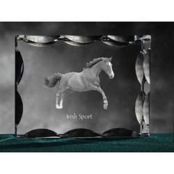 Irish Sport Horse, cristal avec un chien, souvenir, décoration, édition limitée, ArtDog