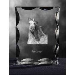 Araberpinto, Kristall mit Pferd, Souvenir, Dekoration, limitierte Auflage, ArtDog