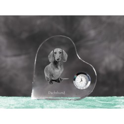 Perro salchicha reloj de cristal en forma de corazón con la imagen de un perro de pura raza.