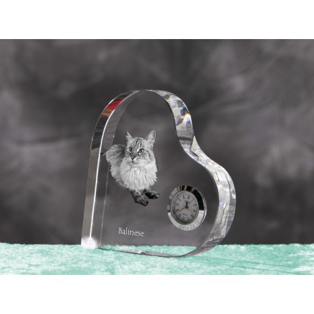 Gato persa reloj de cristal en forma de corazón con la imagen de un gato de pura raza.