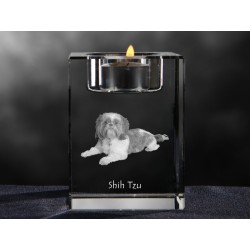 Shih Tzu, lampadario di cristallo con il cane, souvenir, decorazione, in edizione limitata, ArtDog