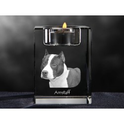 Amstaff, lustre en cristal avec un chien, souvenir, décoration, édition limitée, ArtDog