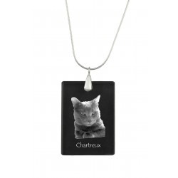 Chartreux, Crystal Pendant, Silver Necklace 925, High Quality, Exceptional Gift.