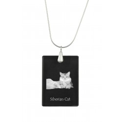Birman, Pendente di cristallo del gatto, collana di SIlver 925, alta qualità, regalo eccezionale