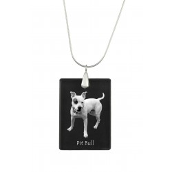 Pit Bull, Pendente di cristallo del cane, collana di SIlver 925, alta qualità, regalo eccezionale