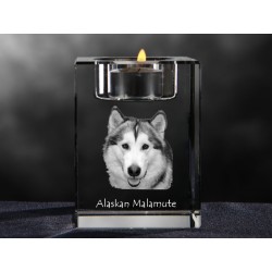 Alaskan Malamute, Kristall-Kerzenleuchter mit Hund, Souvenir, Dekoration, limitierte Auflage, ArtDog