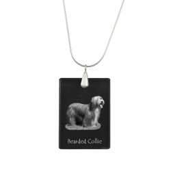Bearded Collie, Pendente di cristallo del cane, collana di SIlver 925, alta qualità, regalo eccezionale