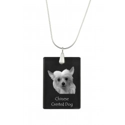 Chinese Crested, Hund Kristall Anhänger, SIlver Halskette 925, Qualität, außergewöhnliches Geschenk, Sammlung!