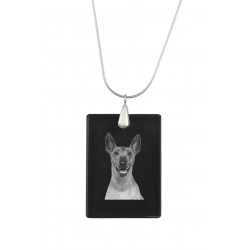 Xoloitzcuintli, Pendente di cristallo del cane, collana di SIlver 925, alta qualità, regalo eccezionale