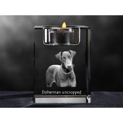 Dobermann uncropped, crystal candlestick with dog, souvenir, decoration, limited edition, Collection