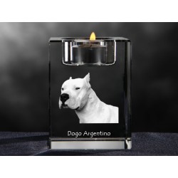 Dogo Argentino, crystal candlestick with dog, souvenir, decoration, limited edition, Collection