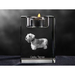Cesky Terrier, crystal candlestick with dog, souvenir, decoration, limited edition, Collection