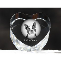 Boston Terrier - kryształowe serce z wizerunkiem psa, dekoracja, prezent, kolekcja!