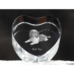 Shih Tzu - kryształowe serce z wizerunkiem psa, dekoracja, prezent, kolekcja!