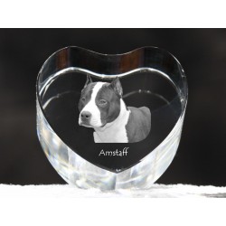 Amerykański staffordshire terier - kryształowe serce z wizerunkiem psa, dekoracja, prezent, kolekcja!