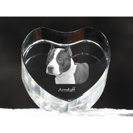 American Staffordshire Terrier, cuore di cristallo con il cane, souvenir, decorazione, in edizione limitata, ArtDog