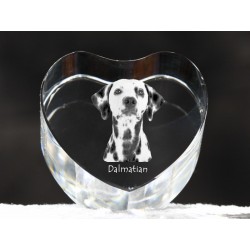 Dálmata, cristal coeur avec un chien, souvenir, décoration, édition limitée, ArtDog
