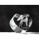 Great Dane uncropped, crystal heart with dog, souvenir, decoration, limited edition, Collection