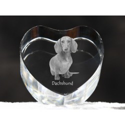 Dachshund smoothhaired, crystal heart with dog, souvenir, decoration, limited edition, Collection