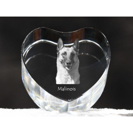 Malinois, Kristall Herz mit Hund, Souvenir, Dekoration, limitierte Auflage, ArtDog
