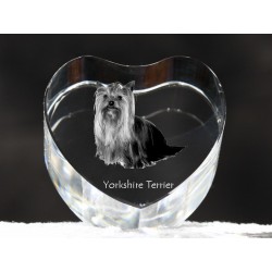 Yorkshire Terrier, cuore di cristallo con il cane, souvenir, decorazione, in edizione limitata, ArtDog