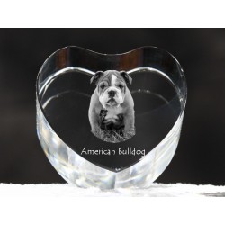 Buldog amerykański - kryształowe serce z wizerunkiem psa, dekoracja, prezent, kolekcja!