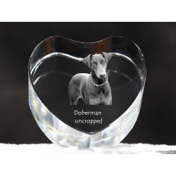 Dobermann, cristal coeur avec un chien, souvenir, décoration, édition limitée, ArtDog