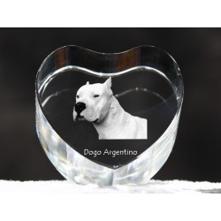 Dogue argentin, cristal coeur avec un chien, souvenir, décoration, édition limitée, ArtDog