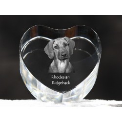 Rhodesian Ridgeback, cristal coeur avec un chien, souvenir, décoration, édition limitée, ArtDog
