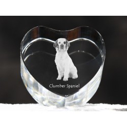 Clumber Spaniel, cuore di cristallo con il cane, souvenir, decorazione, in edizione limitata, ArtDog