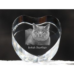 Kot brytyjski krótkowłosy - kryształowe serce z wizerunkiem kota, dekoracja, prezent, kolekcja!
