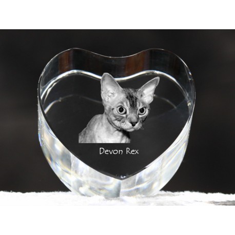 Devon rex, Kristall Herz mit Katze, Souvenir, Dekoration, limitierte Auflage, ArtDog