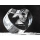 Devon rex, corazón de cristal con el gato, recuerdo, decoración, edición limitada, ArtDog
