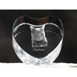 Chartreux, cristal coeur avec un chat, souvenir, décoration, édition limitée, ArtDog