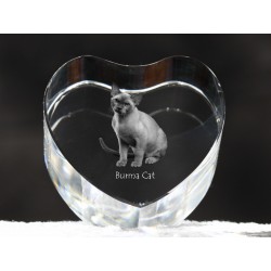 Kot burmski - kryształowe serce z wizerunkiem kota, dekoracja, prezent, kolekcja!