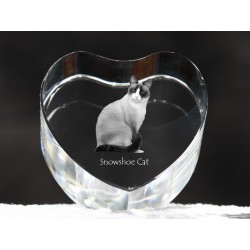 Kot snowshoe - kryształowe serce z wizerunkiem kota, dekoracja, prezent, kolekcja!