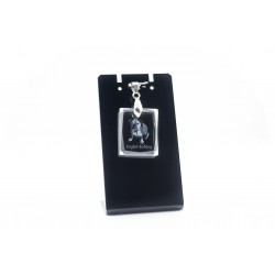 Bulldog inglés, collar de cristal perro, colgante, alta calidad, regalo excepcional, Colección!