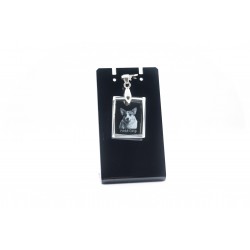 Welsh Corgi, collar de cristal perro, colgante, alta calidad, regalo excepcional, Colección!