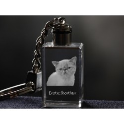 Exotic Shorthair - kryształowy brelok z wizerunkiem kota