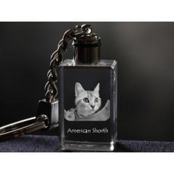 Kot amerykański krótkowłosy - kryształowy brelok z wizerunkiem kota