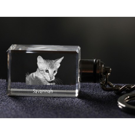 gato crystal Llavero, Llavero, alta calidad, regalo excepcional