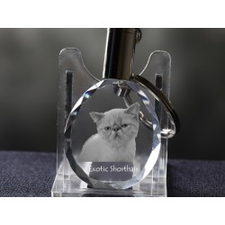 Exotic Shorthair - kryształowy brelok z wizerunkiem kota