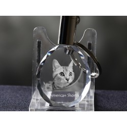 American shorthair, gato crystal llavero, Llavero, alta calidad, regalo excepcional