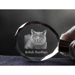 Kot brytyjski krótkowłosy - kryształowy brelok z wizerunkiem kota