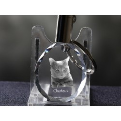 Kot kartuski - kryształowy brelok z wizerunkiem kota