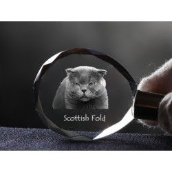 Szkocki zwisłouchy - kryształowy brelok z wizerunkiem kota