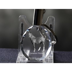 Canadian horse - kryształowy brelok z wizerunkiem konia