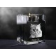 crystal candlestick with cat, souvenir, decoration, limited edition, Collection